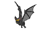 Fledermaus Fledermaus